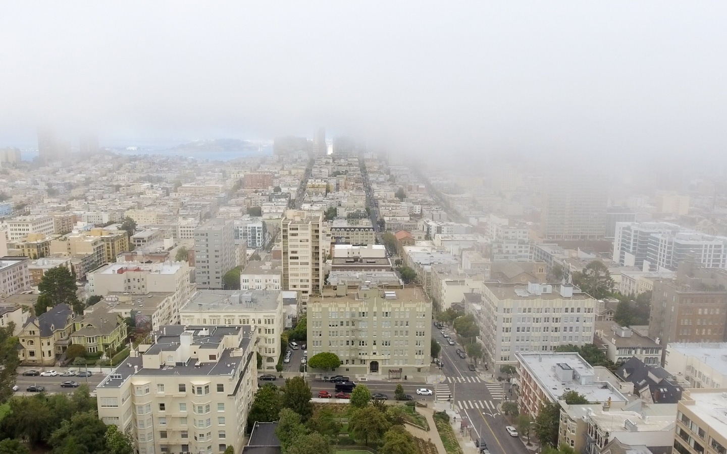 Foggy And Misty San Francisco