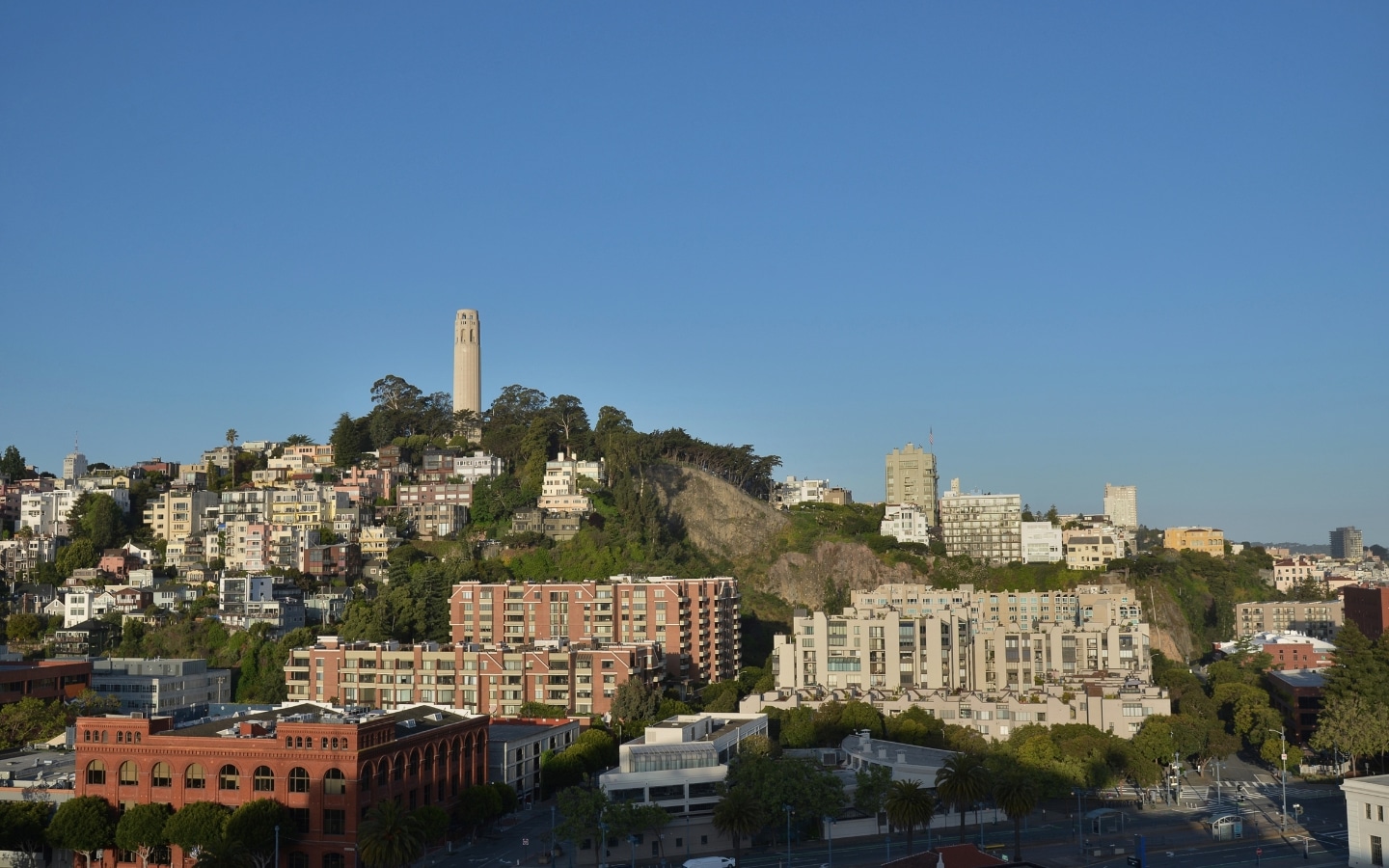 Hike Up The Telegraph Hill